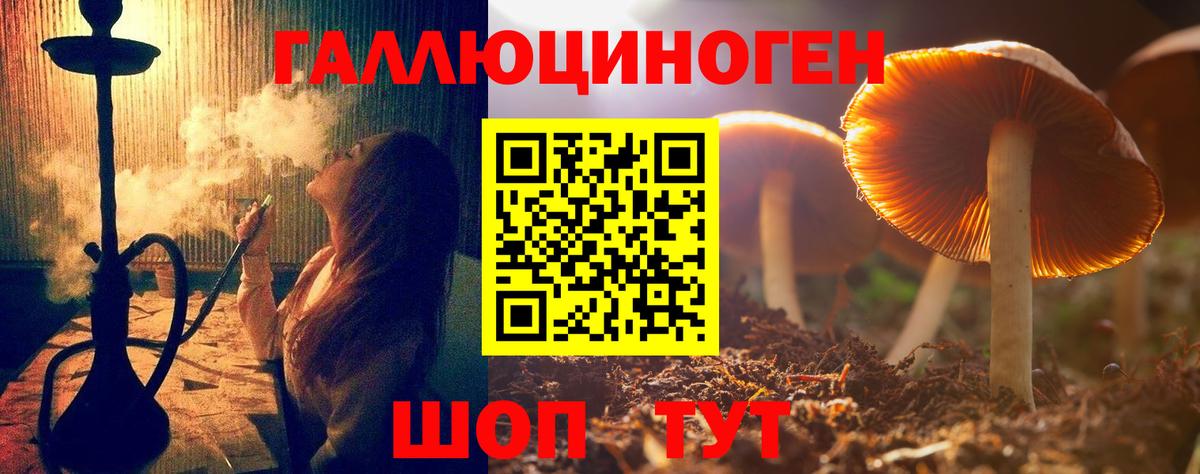 Димитровград  как найти закладки  Вход с VPN  Галлюциногенные грибы MAGIC MUSHROOMS 
